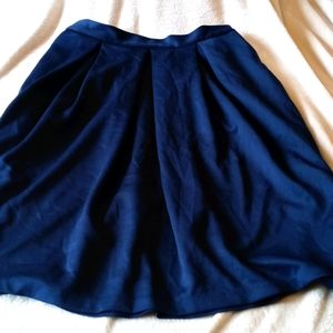 Navy Blue Skirt